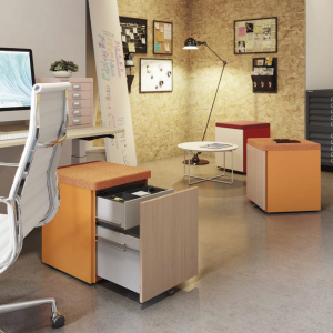 Pal desk storage