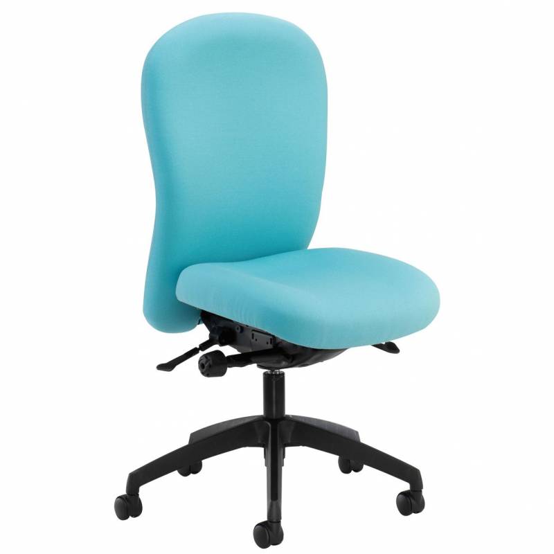 Posturemax Back Care Chair – P73 S