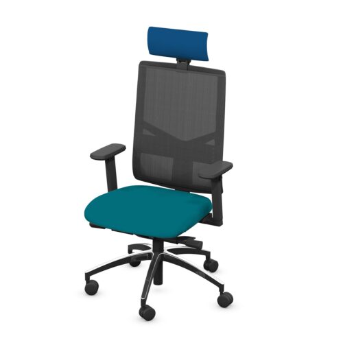 Ranworth task chair with headrest and mesh back