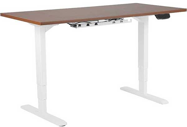 Sit Stand Electric Desk